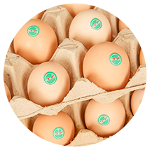 汶上蘆花雞 雞蛋